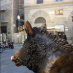 MONTACARICHI_E_ASCENSORI_IMG_0554.JPG